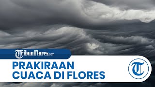 Prakiraan Cuaca di Flores Rabu 24 Januari 2024, Sebagian Wilayah Hujan Petir