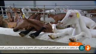 Iran Sheep & Goat breeding research & development farm, Firouz-Kuh پژوهش گوسفند و بز فيروزكوه