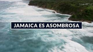 Jamaica | Inspiration Guide | Iberostar Hotels & Resorts