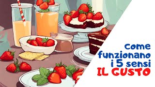 Il gusto - Come funzionano i 5 sensi?