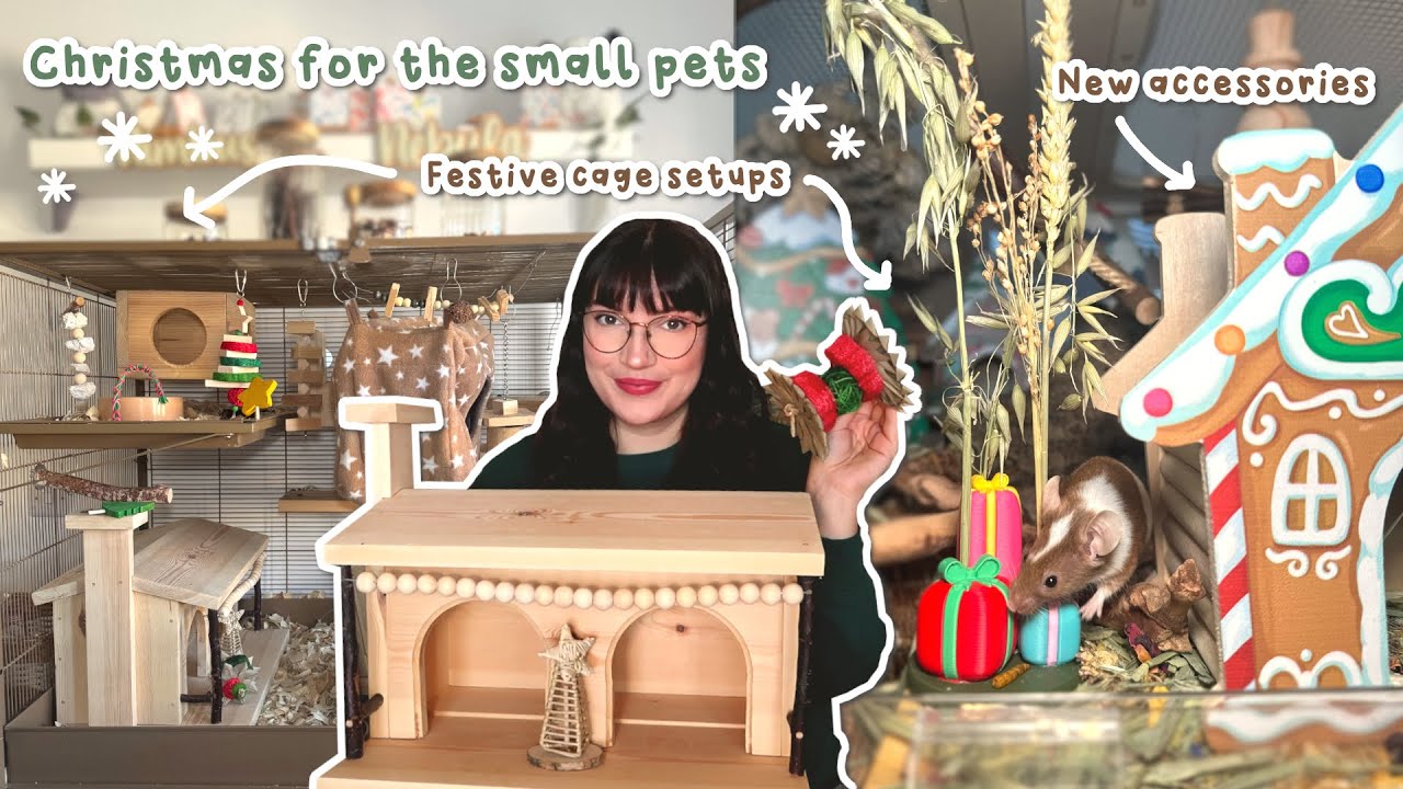 Все мои маленькие питомцы получили тематическое оформление к Рождеству | Видеоблог