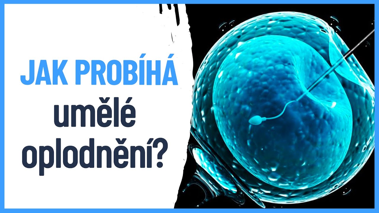 Kolik stojí UMĚLÉ OPLODNĚNÍ? A jak probíhá?