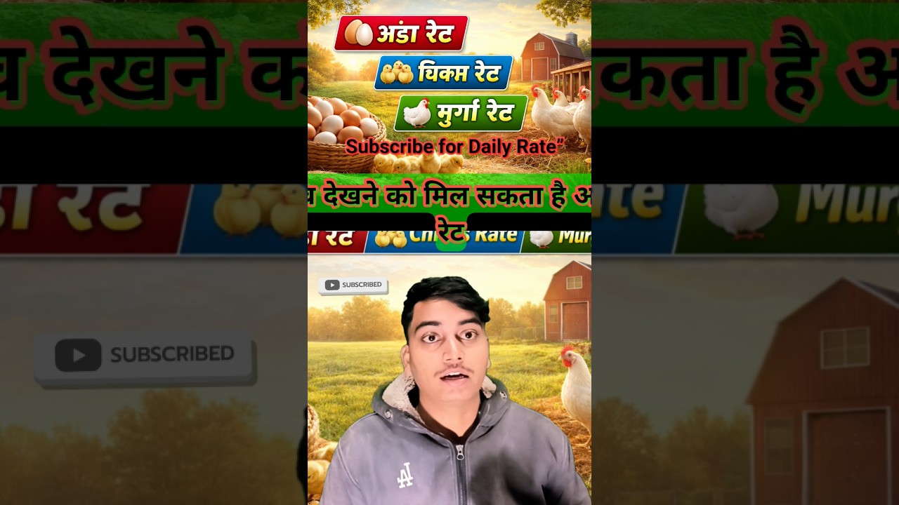 Kal Monday Poultry Rate Badalne Wala Hai | Ande Chicks Murga 