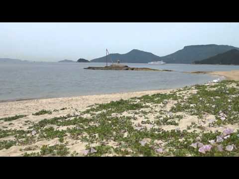 小豆島　戸形崎　浜昼顔が咲く頃