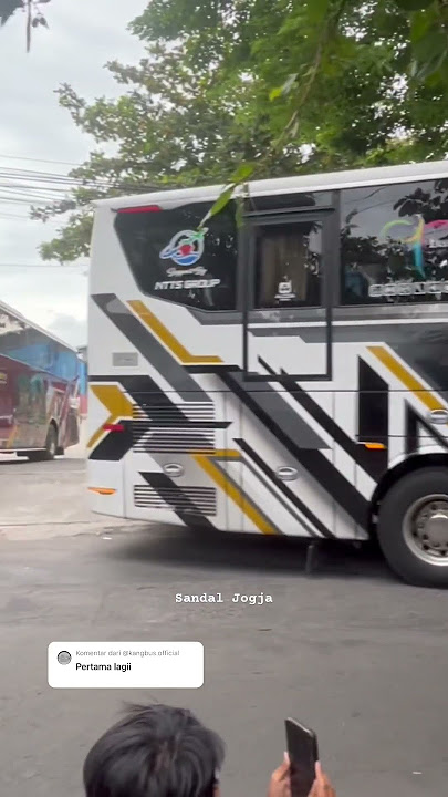MECCA NADA APATE APATE🤣 #teloletbasuri #basuri #aktorbasuri #busmania #busartis #automobile