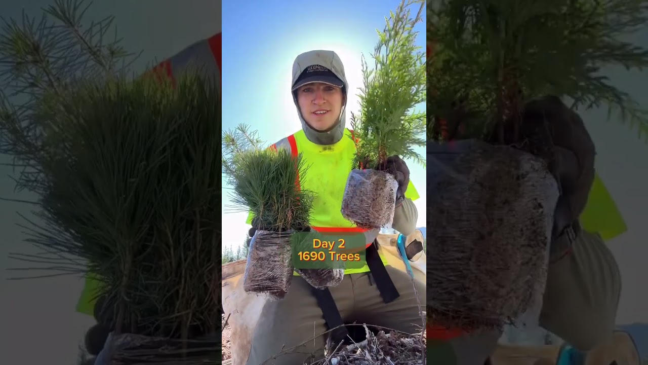 This marks the start of the season, and 