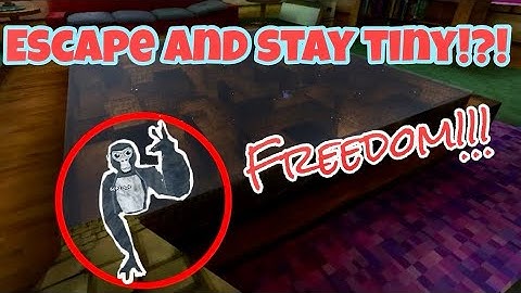 How to remain tiny outside of maze! gorilla tag!