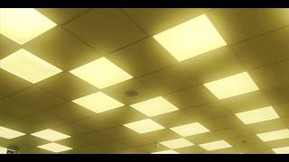 THE BACKROOMS | OFFICIAL TRAILER |