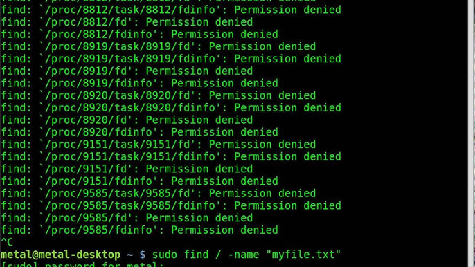 The Find Command In Bash Youtube