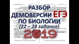 ДЕМОВЕРСИЯ ЕГЭ ПО БИОЛОГИИ 2019 (подробный разбор 22-28 заданий) ДЕМОВЕРСИЯ ЕГЭ ПО БИОЛОГИИ 2019 (подробный разбор 22-28 заданий)