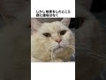 元野良ボス猫ニャーゴ伝説①