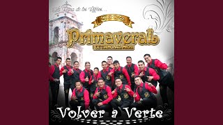 Video thumbnail of "Banda Primaveral - Volver a Verte"