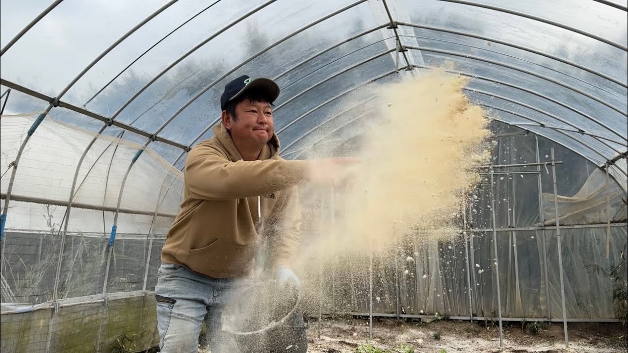トマトが鈴なりに実る！肥料と野菜作りも同時にできる新しい栽培方法！/4/3