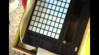 Ableton Push 2 Unboxing Video