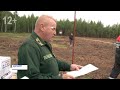 Итоги работы Серповского лесхоза в канун Дня работника леса