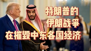 特朗普的伊朗战争，在摧毁中东各国经济 #特朗普 #老鱼有话说