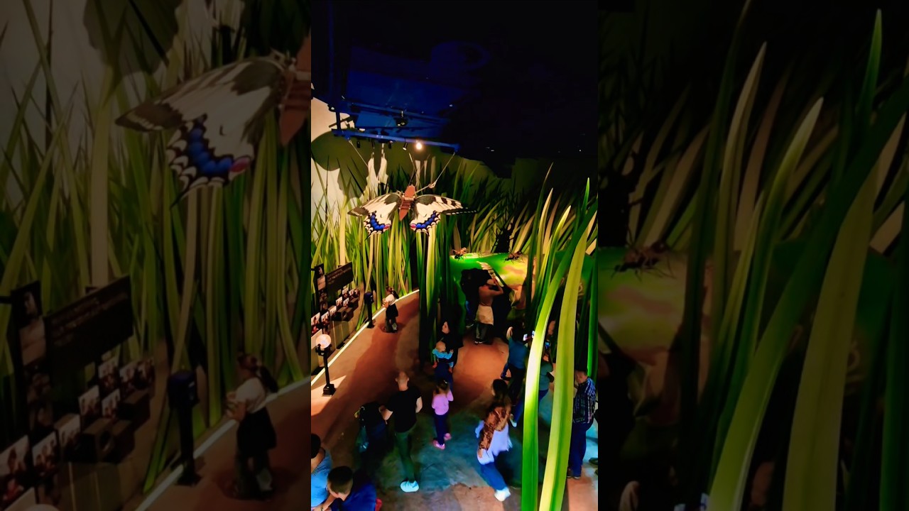 Klein sein... #reiseliebe #insekten #ausflug