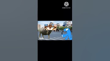 Hai con trâu húc nhau=)) #memes #funny #roblox #animation #rainbowfriends #doors #catnap