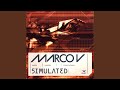 Miniature de la vidéo de la chanson Simulated (V.ision Remix)