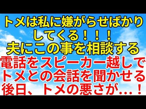 スカッとする話【修羅場・因果応報】いびりと言うか、嫌がらせが半端じゃないトメ。その実態を知ってもらうために夫にも証言を聞いてもらう！【スカッとオーバーフロー】