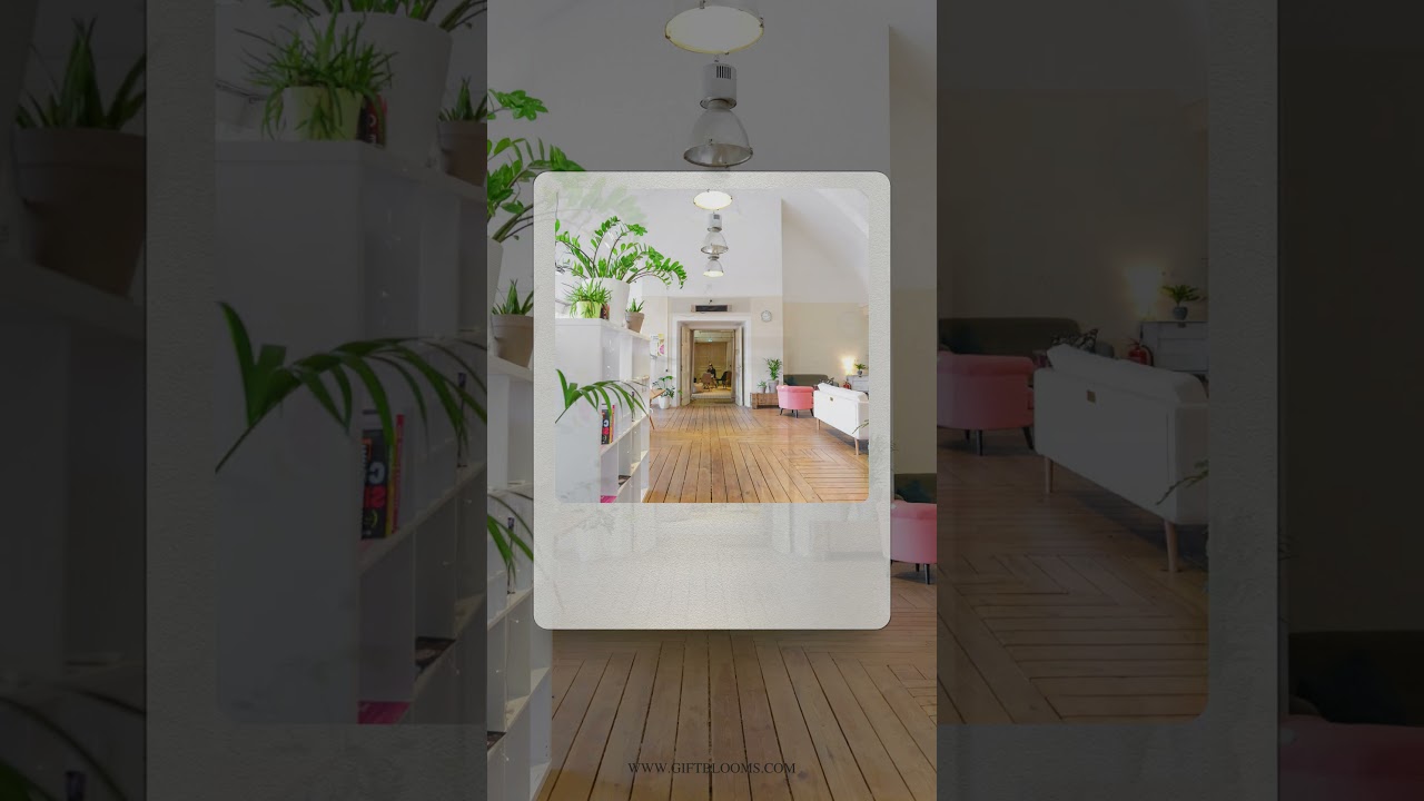 Green Hues Trendy Live Plant Gift Ideas for 2024  