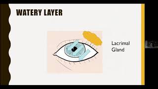 Glaucoma Support Group: Dry eye disease