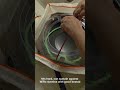 Experimental CX builds#1 Emperor Delta Peak Erase 3-60 Hex Beyblade X
