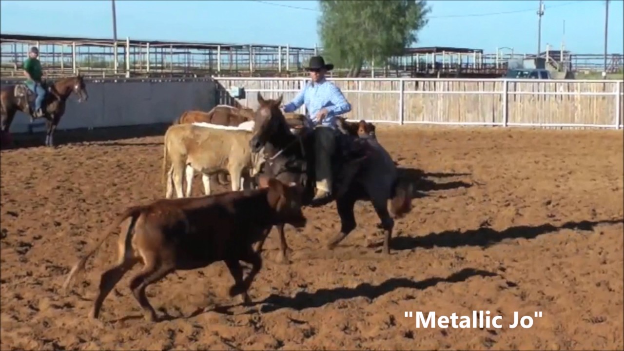 Metallic Jo   Clay Johnson Cutting Horses