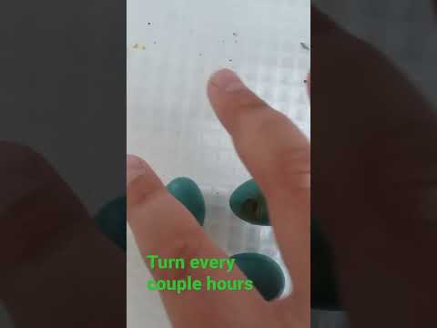 How to properly