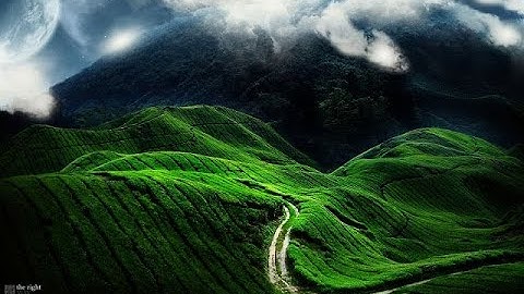 سورة ال عمران بصوت الشيخ احمد الحواشي رحمة الله المكتبة الصوتية