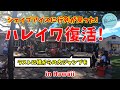 【日本で報道されないハワイ】ハレイワ復活！シェイブアイスに行列が戻った！
