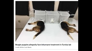 400 thousand Dollars of Your Money: A Dr Facui Taie