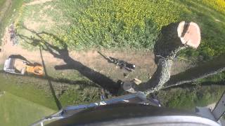 Oak Dismantle 20/4/15 with music