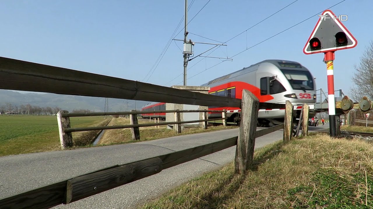 Daily Swiss Train - Bahnübergang Oberriet  