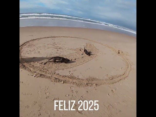 Feliz 2025 🐾✨