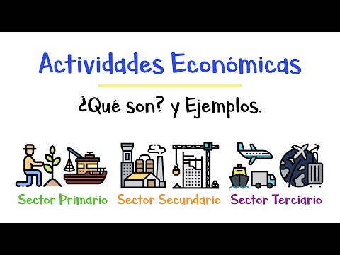 Video: ¿Qué es un sector de la economía? Sectores primario, bancario, municipal, privado y financiero de la economía