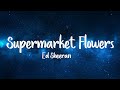 Supermarket Flowers - Ed Sheeran (Lyrics + Vietsub) ♫