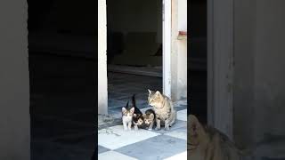 with you mom 엄마와 나 ウィズ·ユー·ママ con tu mamá