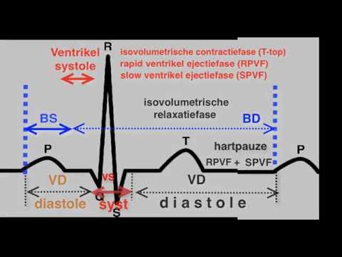 Video: Tijdens de fase van de gewrichtsdiastole van de hartcyclus?