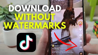 How To Download TikTok Videos Without Watermark On iPhone (Fastest Way)