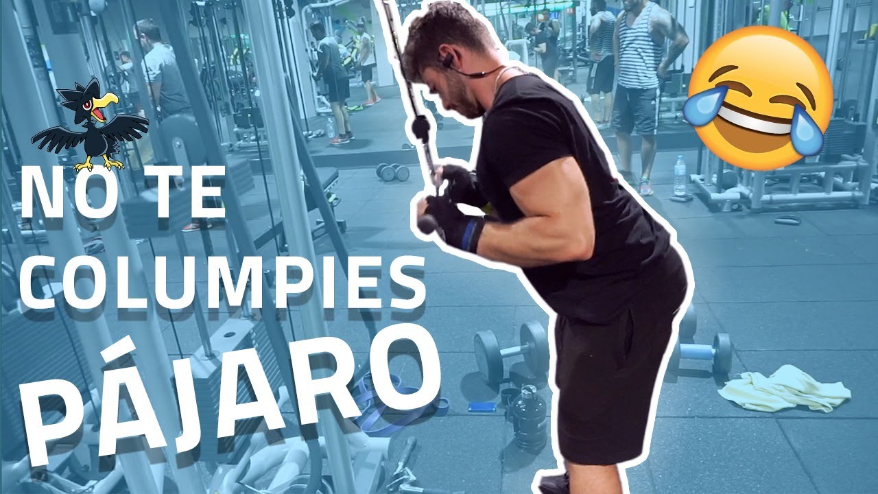 Extensión de triceps en polea en 1 minuto. FORTALECER TRÍCEPS YouTube