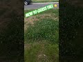 When the lawn guy is on vacation and his rental needs cut 🤣🤣#lawncarebusiness #needsmowed