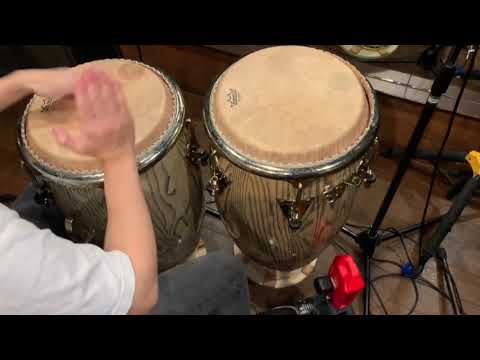 絶対にチョコミントを食べるアオイちゃん（Conga cover）