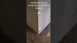 Smallest Church Mouse In London