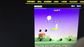 Information Mooo! Levels 6-10 Update