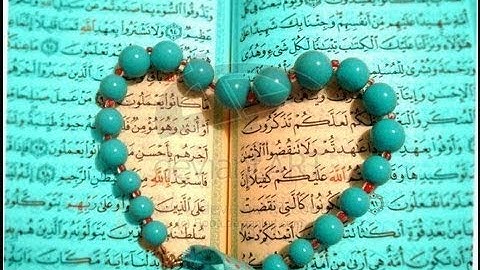 تلاوة تحرك القلوب للقارىء ناصر القطامي