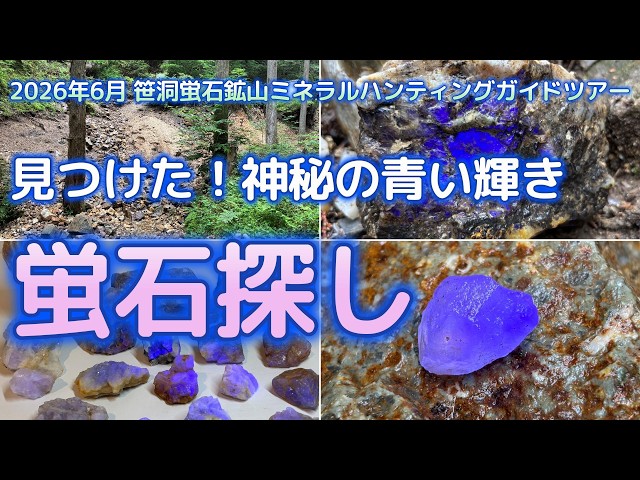 笹洞蛍石鉱山】青く輝く蛍石を探す一日｜3回目のミネラルハンティング