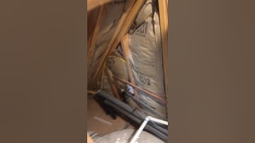 Navien tankless water heater easy fix.