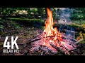 4K Cozy Campfire In the Forest — Relaxing Fireplace & Nature Sounds — Fire Crackling Sounds 10 HOURS