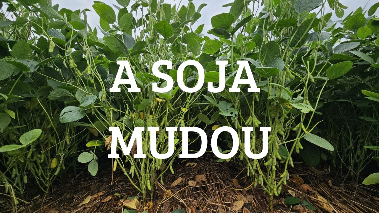 A SOJA Não Produz Mais Igual Antes… Entenda o Motivo